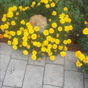 Meet your Posher, Paula